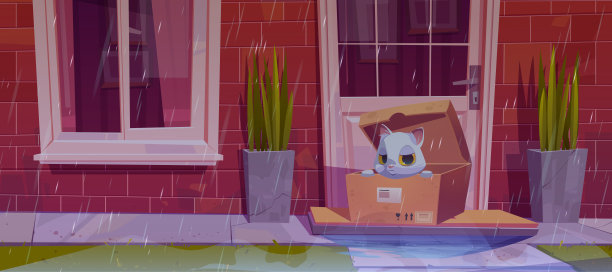 将流浪猫遗弃在房子附近的盒子里图片下载