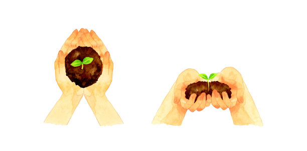 一套土壤和植物芽双手插图。手绘水彩插图。图片下载