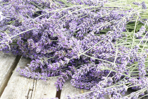 一束薰衣草花放在旧木桌上的背景照片。关闭了。图片下载