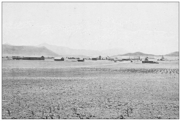 古色古香的加州旅行照片:沙漠图片下载