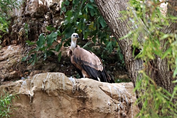 保持概述图片下载