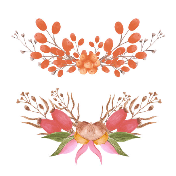 手绘水彩秋天的树枝，浆果和树叶组成孤立的白色背景。乡村风情插画可用于邀请函、明信片、标签等印刷品。图片下载