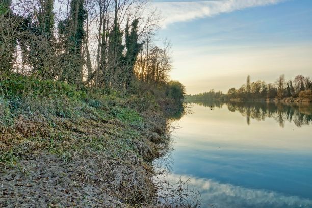 湖泊在森林，照片图片数码图像图片下载