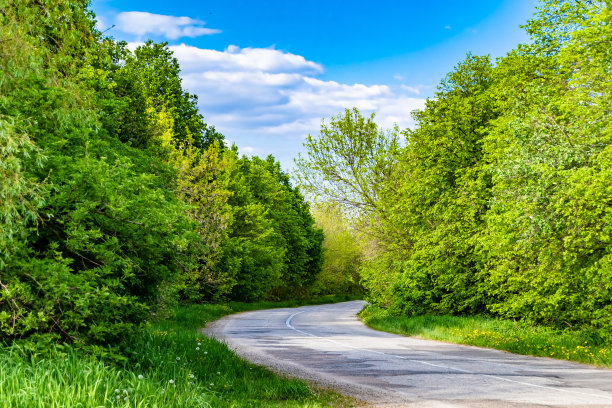 美丽的空柏油路在农村彩色背景图片下载