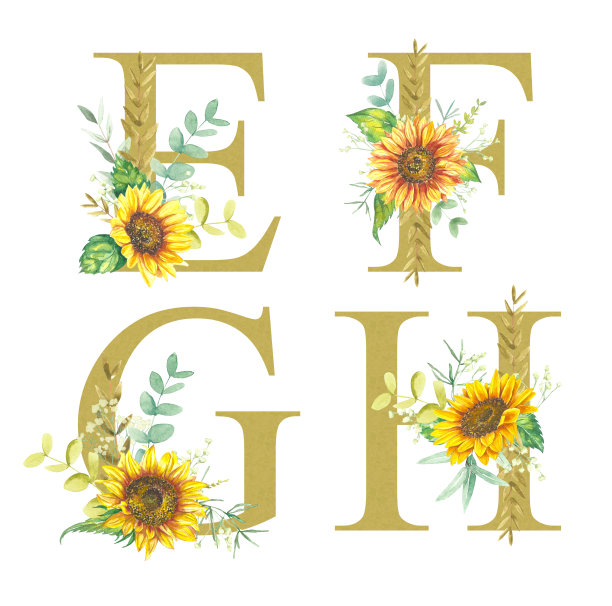 花卉字母组-字母E, F, G, h，字母，用向日葵，桉树和各种草药的水彩花装饰。图片下载