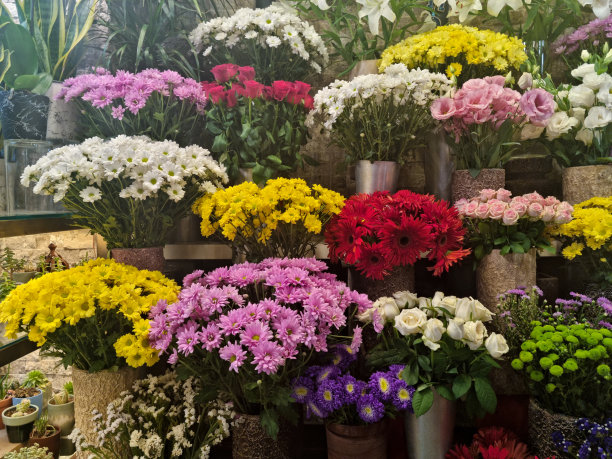 鲜花店图片下载