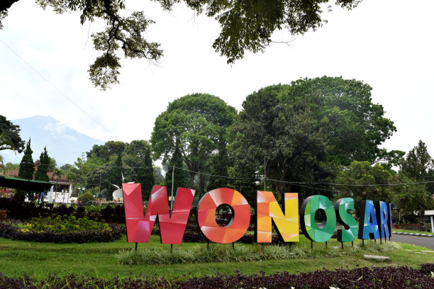 茶厂花园的一个角落图片下载