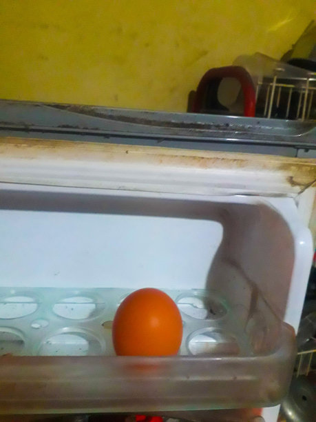 一个鸡蛋图片下载