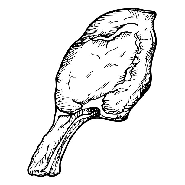 肉片在骨头上手绘羊肉，牛肉或猪肉矢量插图孤立的背景。草图与雕刻肉牛排产品的菜单，印刷，标志。健康的蛋白质食物，美食图片下载