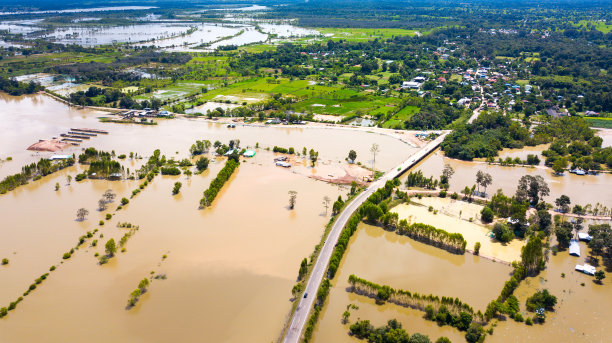 俯视图无人机拍摄的航拍照片。被淹的稻田。因自然灾害而使稻田淹水。从道路和桥梁上俯瞰，泰国，亚洲。图片下载