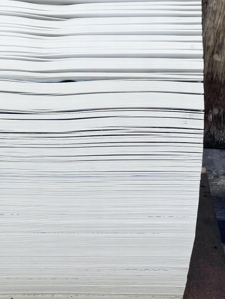 一个人拿着冲浪板走在人行道上的照片，有一只鸟站在一堆纸上。图片下载