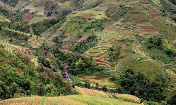 一张有河流穿过山谷的照片，一张有许多梯田和一条小溪穿过山谷的照片。图片下载