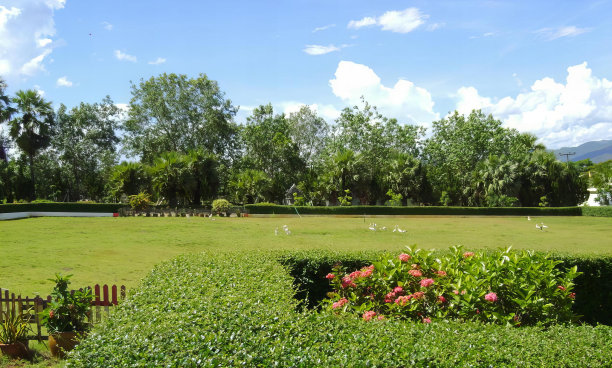 一张有篱笆和长凳的郁郁葱葱的田野的照片，一个迷宫形状的花园，有草坪、篱笆和鲜花。图片下载