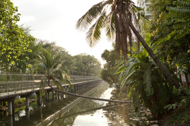 从Benjakitti公园到Lumphini公园的自行车道图片下载