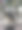 动物园里袋鼠用后腿站立的照片。图片下载