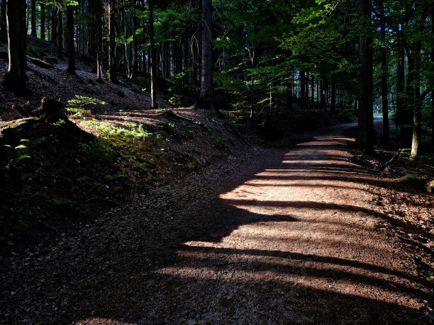 穿着雨衣的婴儿车停在森林小路上。收集蘑菇的篮子。有时父母会迷路，孩子会被单独留在森林里。染上感冒的危险图片下载