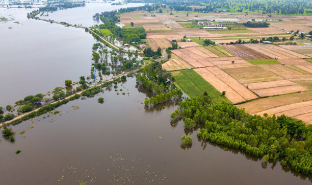 俯视图无人机拍摄的航拍照片。被淹的稻田。因自然灾害而使稻田淹水。上图为村庄的农业地块背景图。图片下载