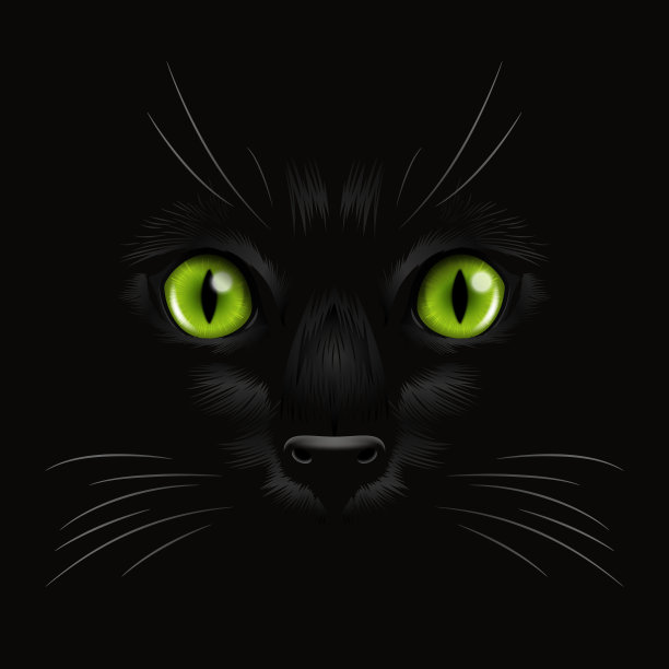 矢量3d逼真的绿猫在黑暗中的黑猫的眼睛，在晚上。猫的脸，鼻子，黑色的胡须。猫在黑暗中的特写镜头。前视图图片下载