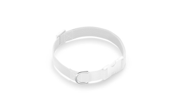 空白白色狗项圈与塑料扣模型，俯视图图片下载