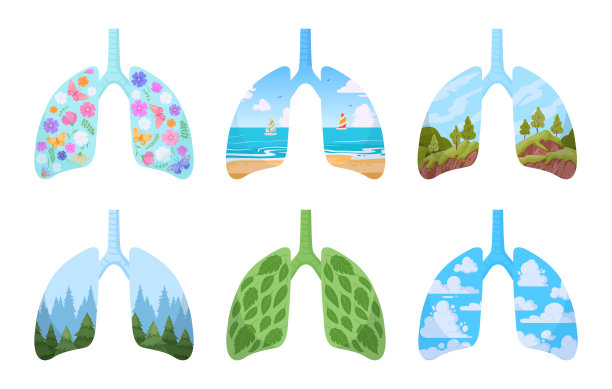 人类健康的肺。卡通清肺，空气清新，花草绿叶。绿色星球之肺隐喻，环境关怀概念平面矢量图解图片下载