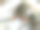 泰国普吉岛拉威海鲜市场出售的彩虾、彩绘龙虾、竹龙虾或带刺龙虾。图片下载