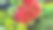 阿马尔菲海岸市场摊位上的蔬菜-库存照片- 2023年7月图片下载