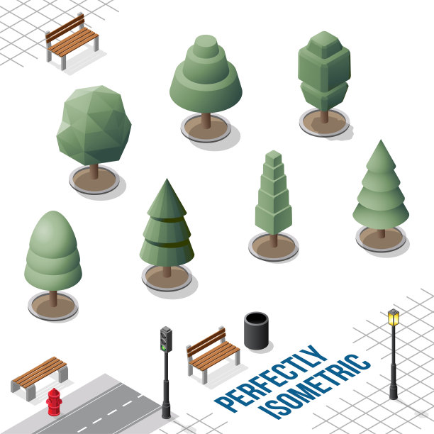 等距树集25孤立在白色图片下载