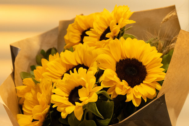 花瓶里放着一束美丽的向日葵。生日花束，婚礼花束，乡村风格。副本的空间。选择性聚焦。水平的照片。图片下载