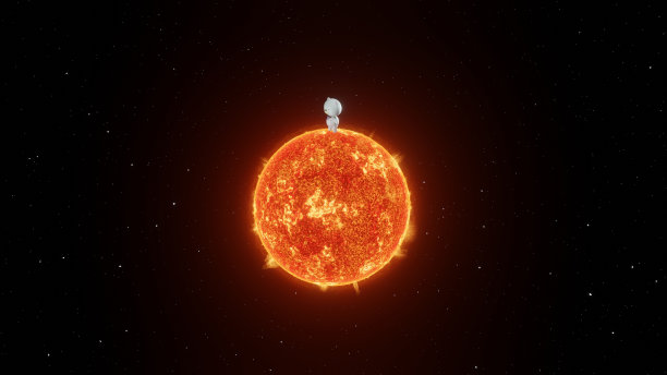 太阳和熊图片下载