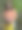 一个拎着一篮子哥伦比亚咖啡的女人图片下载
