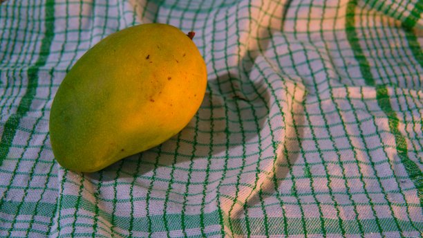甜美成熟的芒果果实在布料上图片下载