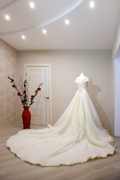 蕾丝和刺绣织物与珠结婚礼服图片下载