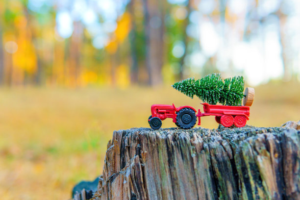 迷你拖拉机和树桩上的小松树图片下载