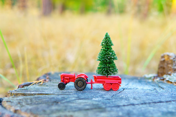 微型拖拉机与一棵小松树在森林设置图片下载