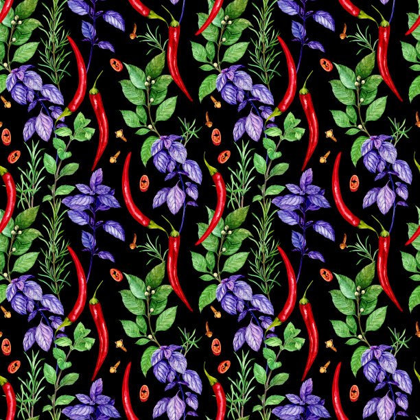 辛辣的草药，水彩插图。月桂，薄荷，紫罗勒，黑底红辣椒。设计菜单装饰，厨房纺织品。芬芳的香料。图片下载