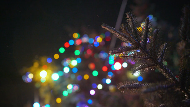 冬天街上的树，特写。街上挂满玩具的圣诞树，背景是一座红色的建筑物。街道上金色装饰的圣诞树特写。图片下载