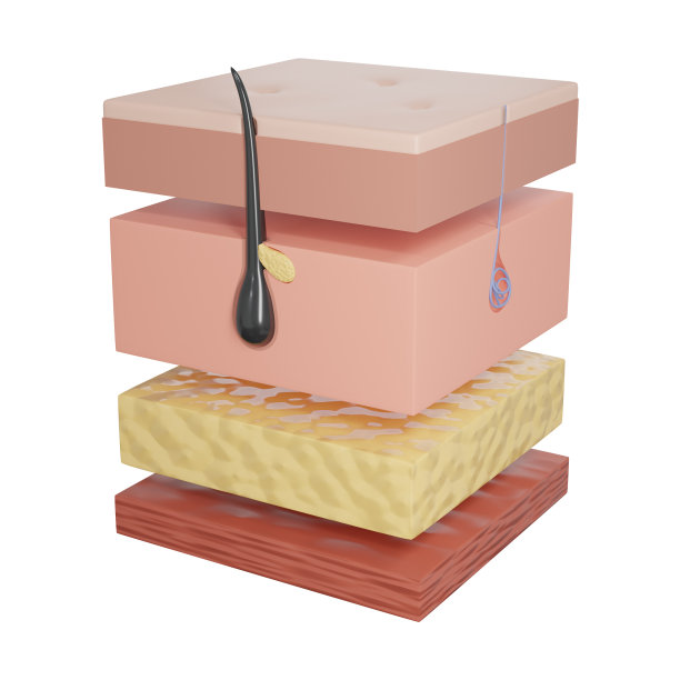 3d渲染层皮肤医疗或化妆品图片下载