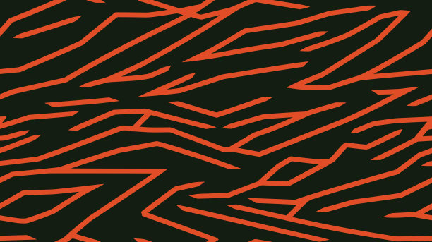 挥手的模式。斜条纹。条纹纹理纠结，有许多线条。甜甜的果冻虫。平铺和顶视图。手绘波浪。老虎单色无缝图案。图片下载