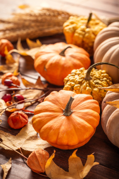秋天静物与南瓜和树叶木制背景。感恩节家装。图片下载