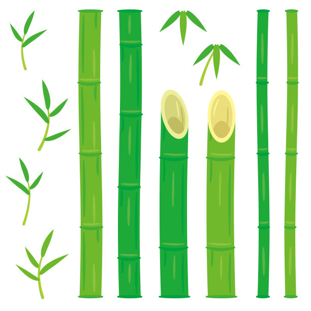 竹集图片下载