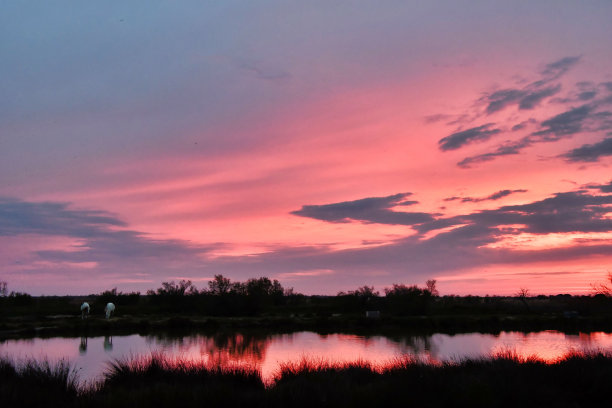 夕阳湖上，照片作为背景，在圣玛丽德拉海村卡马格，法国图片下载