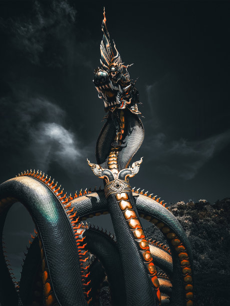 夜之守护者图片下载