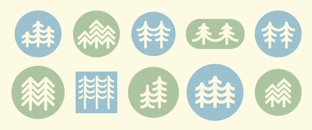 冷杉树图片下载