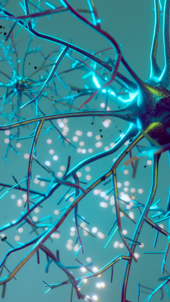 神经元和带有信号的神经网络可视化图片下载