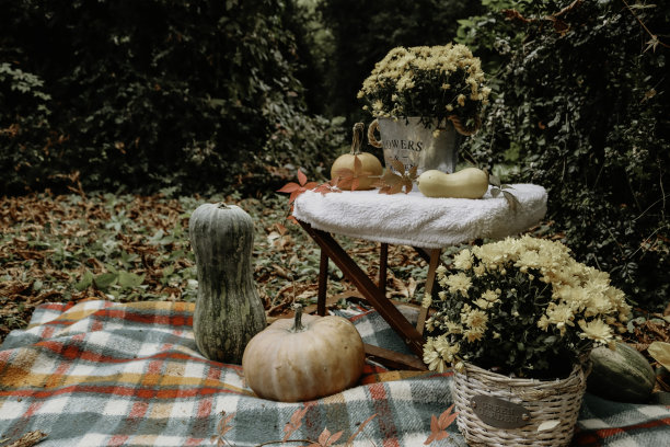 万圣节的时间。图片下载