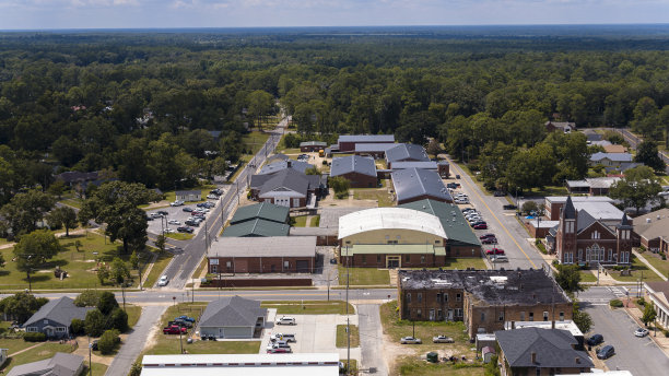 佩勒姆，GA学校校园线马修森大道教育中心与停车场的小社区。鸟瞰图图片下载