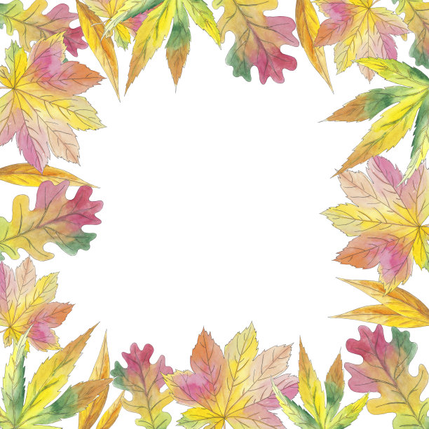 水彩框架与枫，柳，橡树叶秋天插图白底。美丽多彩的植物明信片。艺术设计名片，标志，婚礼请柬图片下载