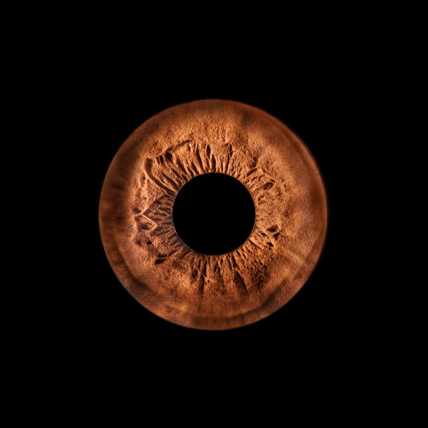 虹膜摄影图片下载