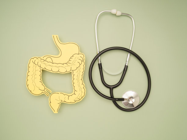 俯视图听诊器和肠符号在绿色背景上图片下载