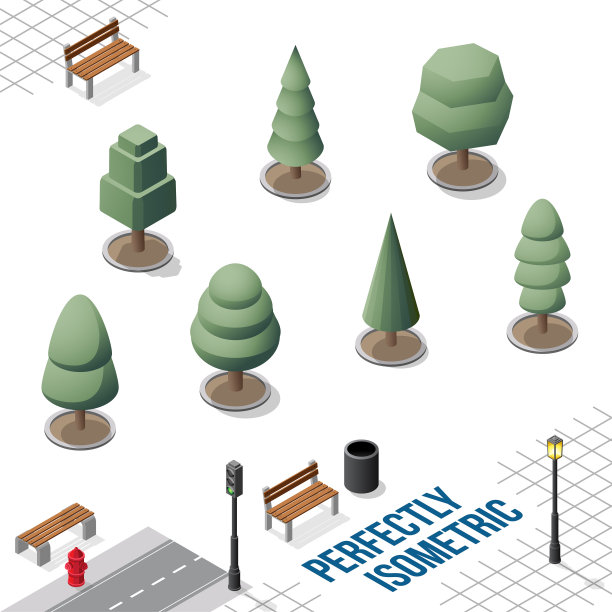 等距树集41孤立在白色图片下载